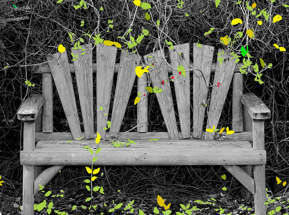 Garden Seat, Dryplaid, Pseudo Infrared with spot colour