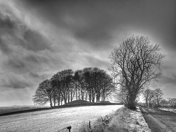 Careston to Fearn Road, Scotland